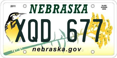 NE license plate XQD677