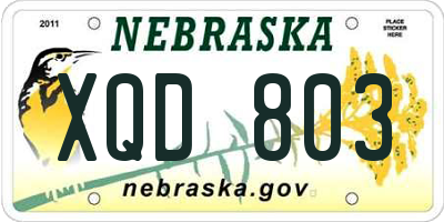 NE license plate XQD803