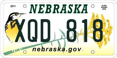 NE license plate XQD818
