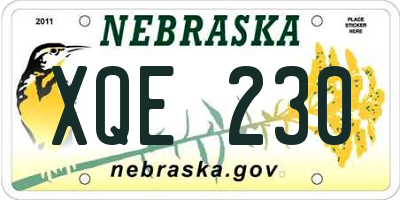 NE license plate XQE230