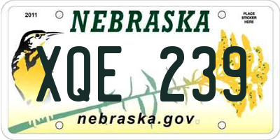 NE license plate XQE239