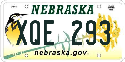 NE license plate XQE293