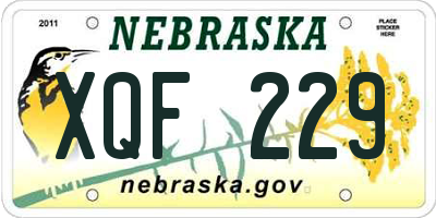 NE license plate XQF229