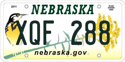 NE license plate XQF288