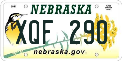 NE license plate XQF290