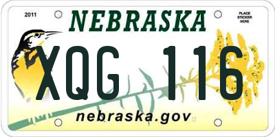 NE license plate XQG116