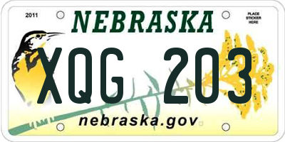 NE license plate XQG203