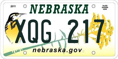 NE license plate XQG217