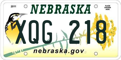 NE license plate XQG218