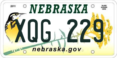 NE license plate XQG229