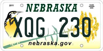 NE license plate XQG230