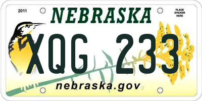 NE license plate XQG233