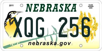 NE license plate XQG256