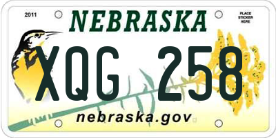 NE license plate XQG258