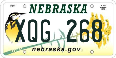NE license plate XQG268