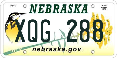 NE license plate XQG288