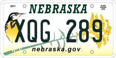 NE license plate XQG289