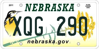NE license plate XQG290