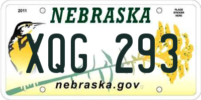 NE license plate XQG293