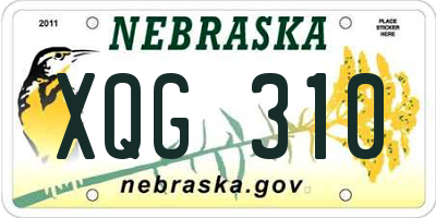 NE license plate XQG310