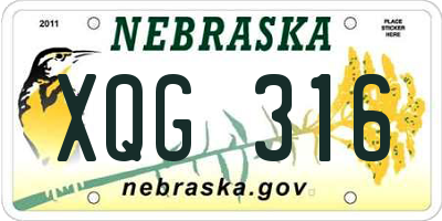 NE license plate XQG316