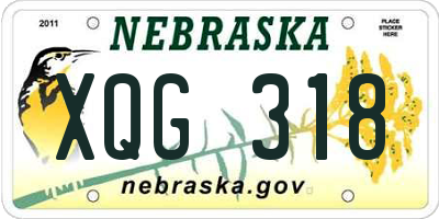 NE license plate XQG318