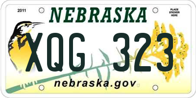 NE license plate XQG323