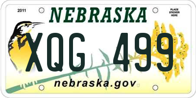 NE license plate XQG499