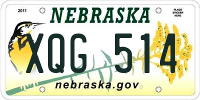 NE license plate XQG514