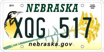 NE license plate XQG517