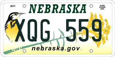 NE license plate XQG559