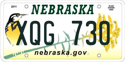 NE license plate XQG730