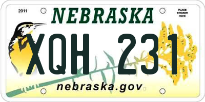NE license plate XQH231