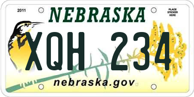 NE license plate XQH234