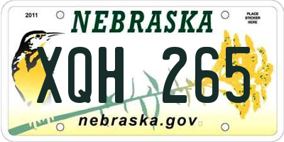 NE license plate XQH265