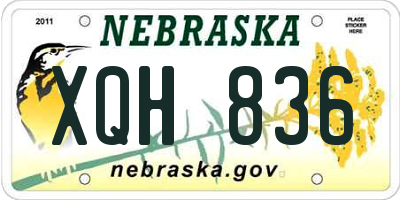 NE license plate XQH836