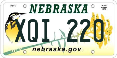 NE license plate XQI220