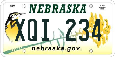 NE license plate XQI234
