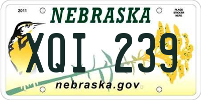NE license plate XQI239