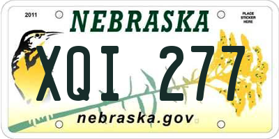 NE license plate XQI277