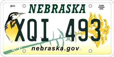 NE license plate XQI493