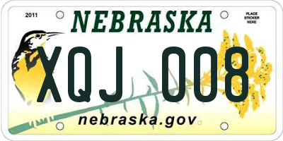 NE license plate XQJ008