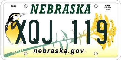 NE license plate XQJ119