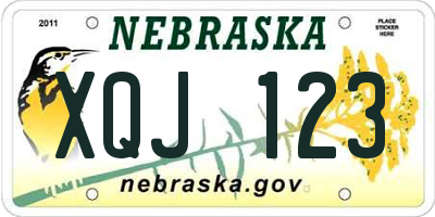NE license plate XQJ123