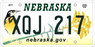 NE license plate XQJ217