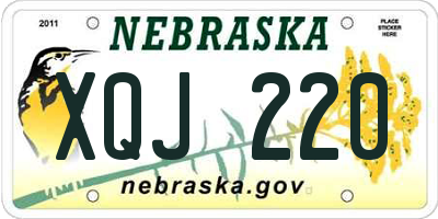 NE license plate XQJ220