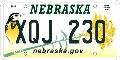 NE license plate XQJ230
