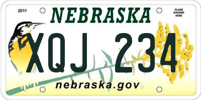 NE license plate XQJ234