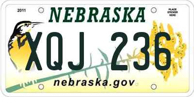 NE license plate XQJ236