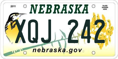 NE license plate XQJ242